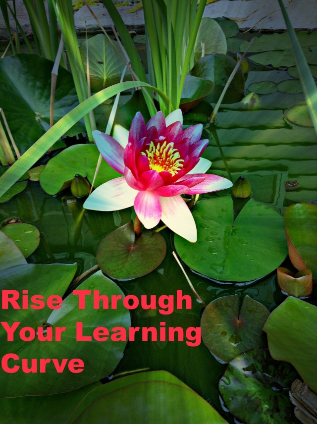 Rise Through Your Learning Curve